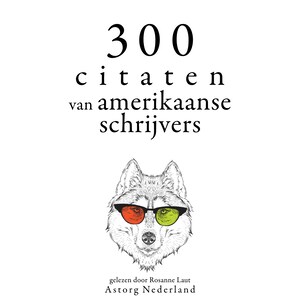 300 citaten van Amerikaanse schrijvers - luisterboek