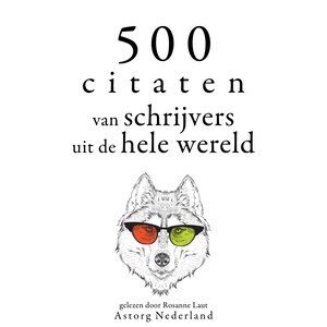500 citaten van schrijvers uit de hele wereld - luisterboek