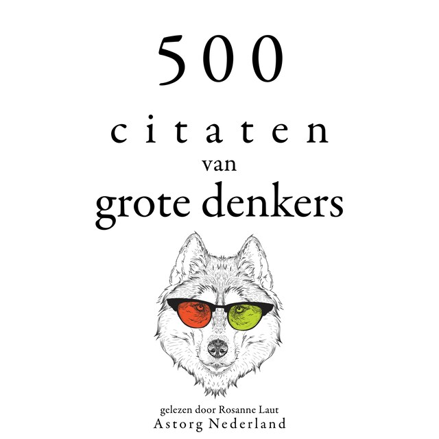 Bokomslag for 500 citaten van grote denkers