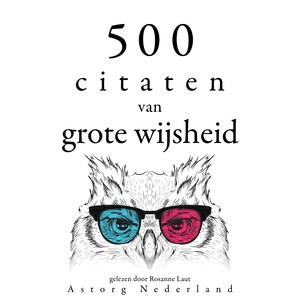 500 citaten van grote wijsheid - luisterboek