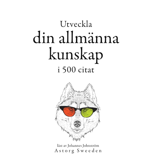 Book cover for Utveckla din allmänna kunskap i 500 offerter