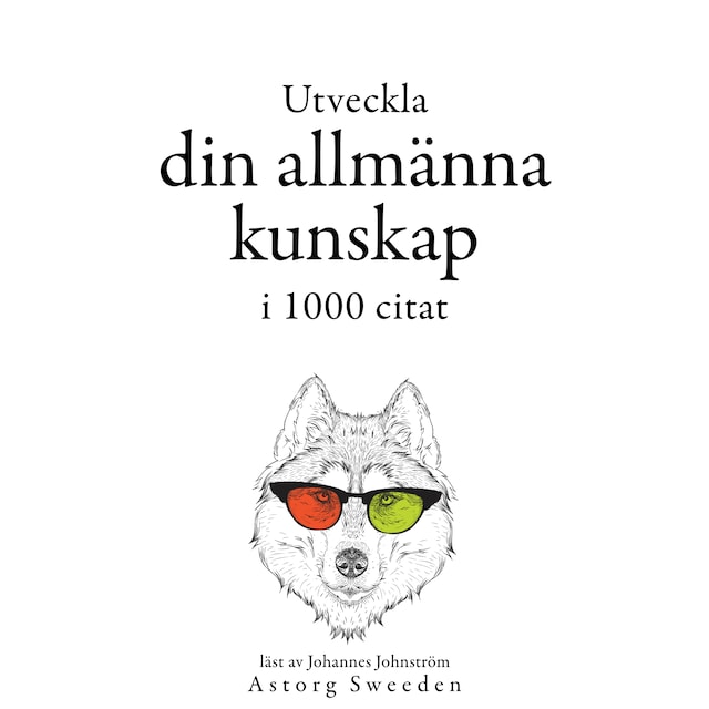Buchcover für Utveckla din allmänna kunskap i 1000 offerter