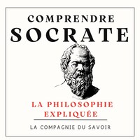 Comprendre Socrate