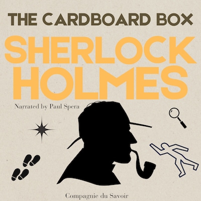 The Cardboard Box