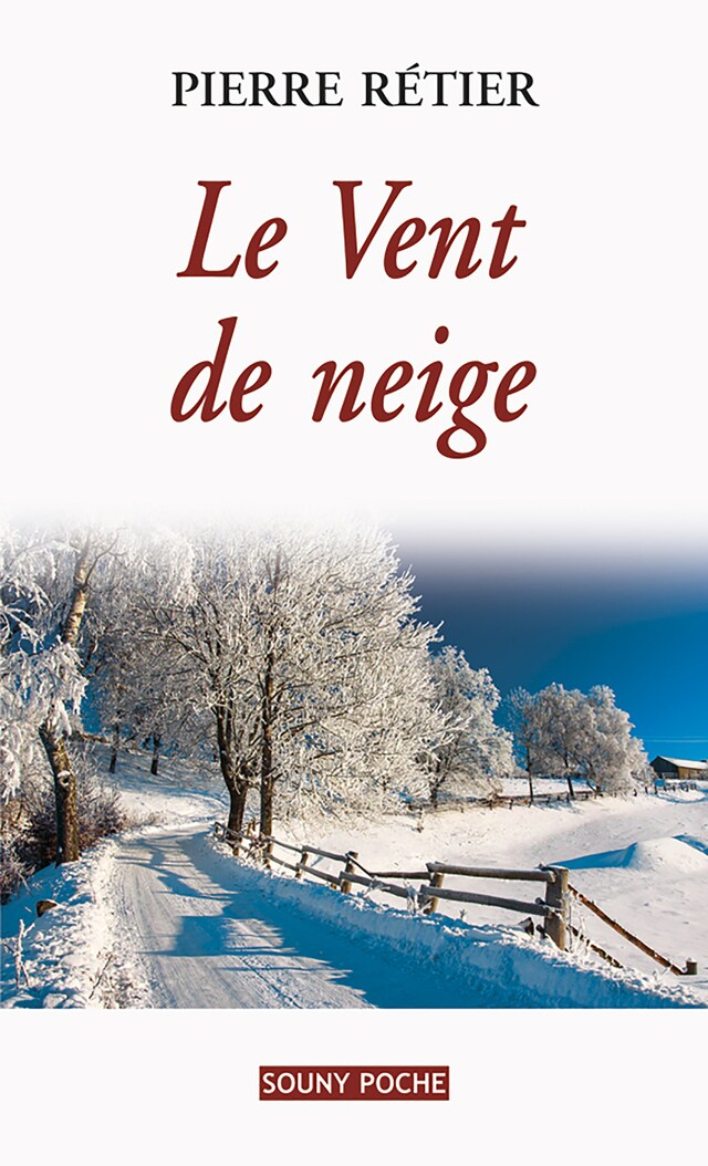 Book cover for Le Vent de neige