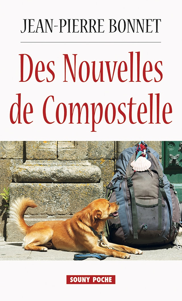 Bokomslag for Des Nouvelles de Compostelle