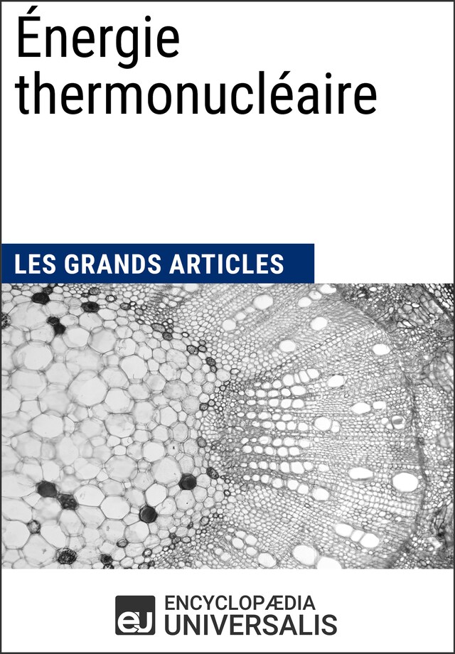 Book cover for Énergie thermonucléaire