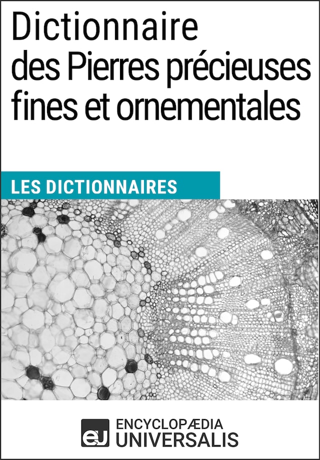 Book cover for Dictionnaire des Pierres précieuses fines et ornementales