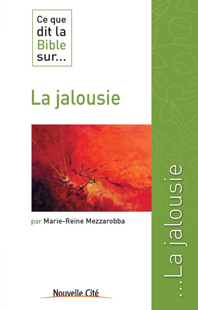 Portada de libro para Ce que dit la Bible sur la jalousie