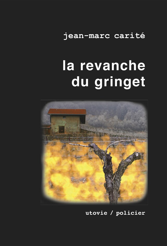 Book cover for La revanche du gringet