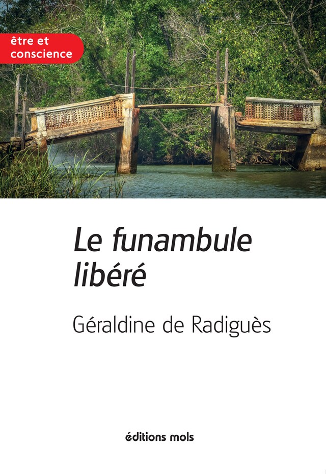 Book cover for Le funambule libéré