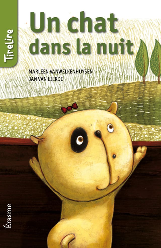 Book cover for Un chat dans la nuit