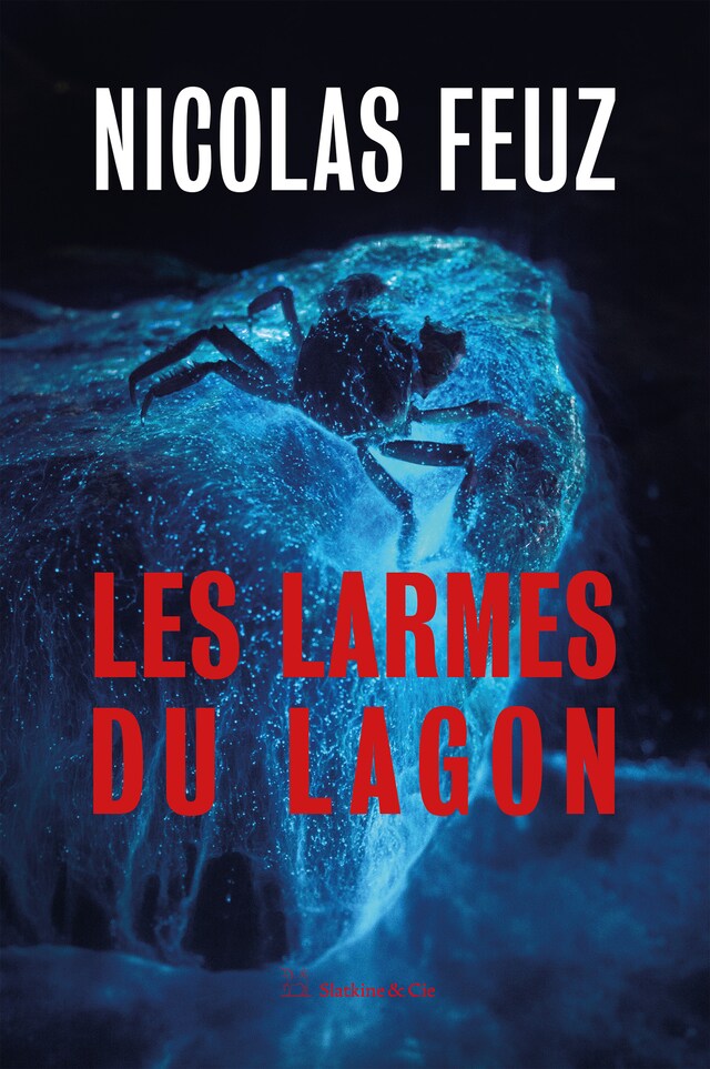 Kirjankansi teokselle Les larmes du lagon