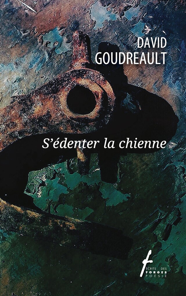 Book cover for S'édenter la chienne