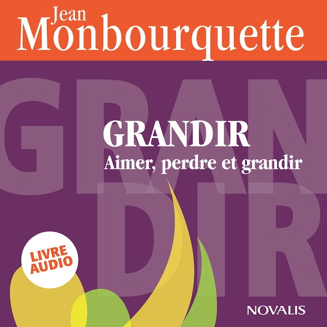 Book cover for Grandir : Aimer, perdre et grandir