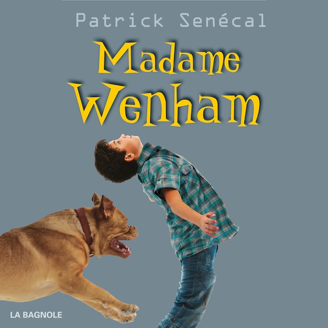 Book cover for Madame Wenham