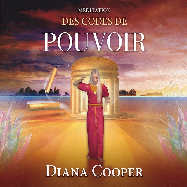 Book cover for Méditation des codes de pouvoir