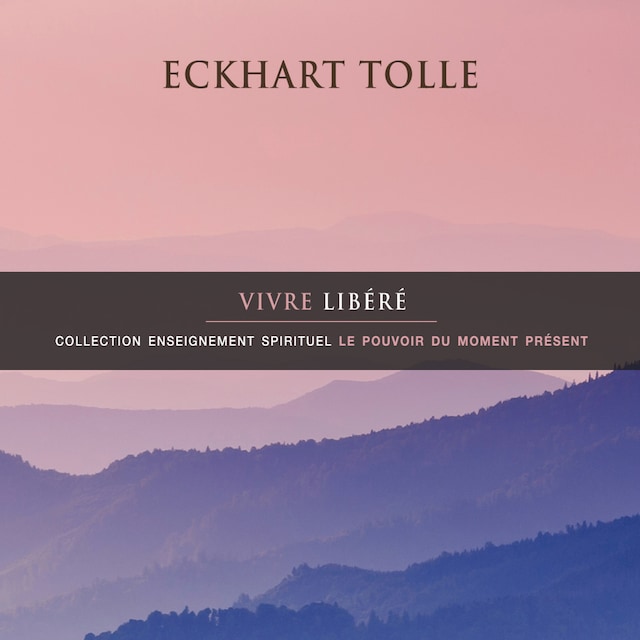 Book cover for Vivre libéré