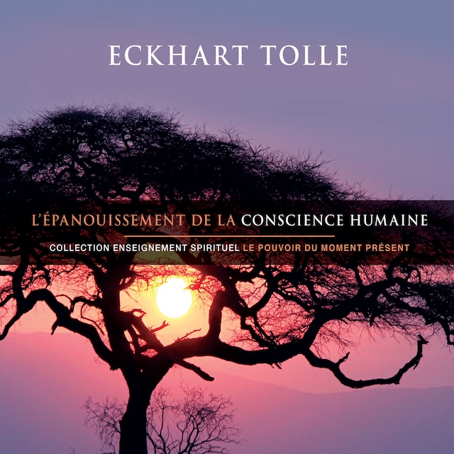 Buchcover für L'épanouissement de la conscience humaine