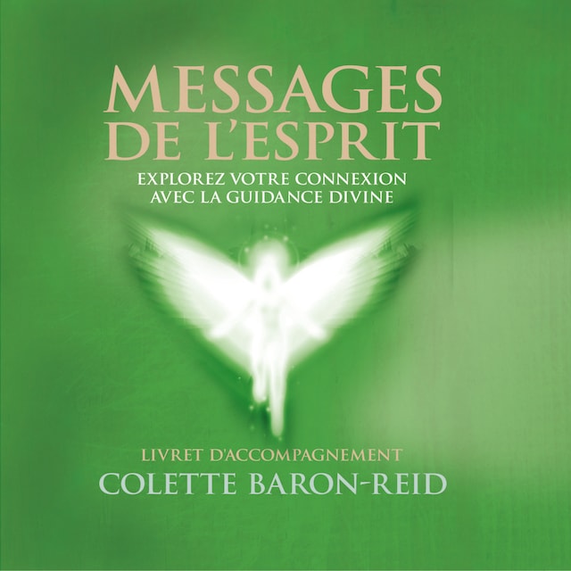 Book cover for Messages de l'esprit