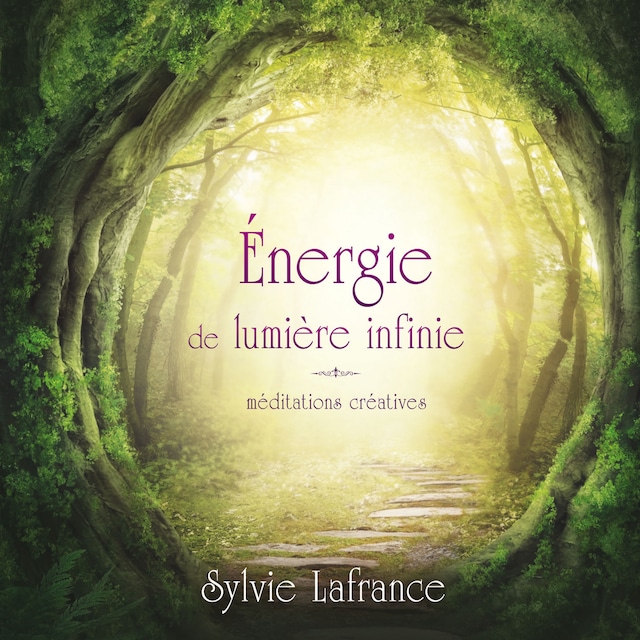 Book cover for Énergie de lumière infinie : Méditations créatives