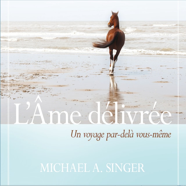Book cover for L'âme délivrée : Un voyage par au-delà de vous-même