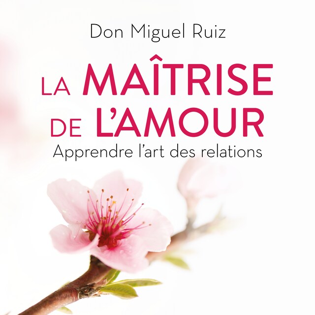 Book cover for La maîtrise de l'amour