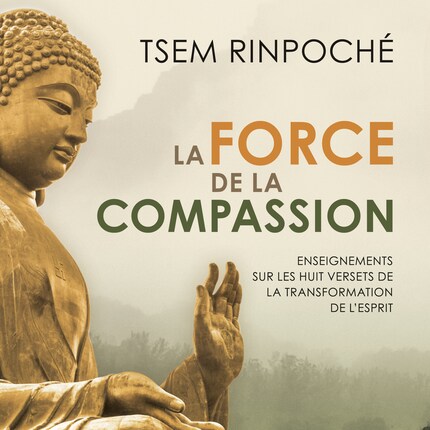 La force de la compassion bookCoverFor