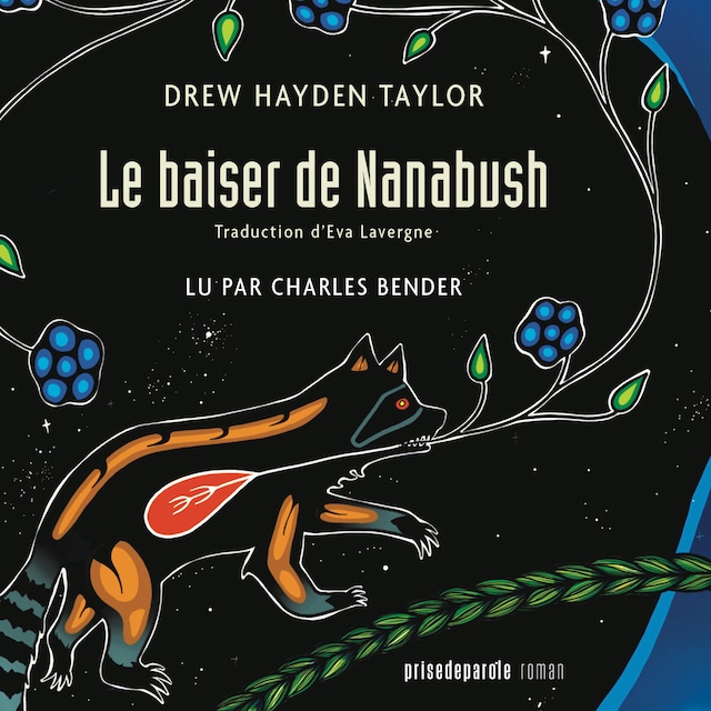 Book cover for Le Baiser de Nanabush