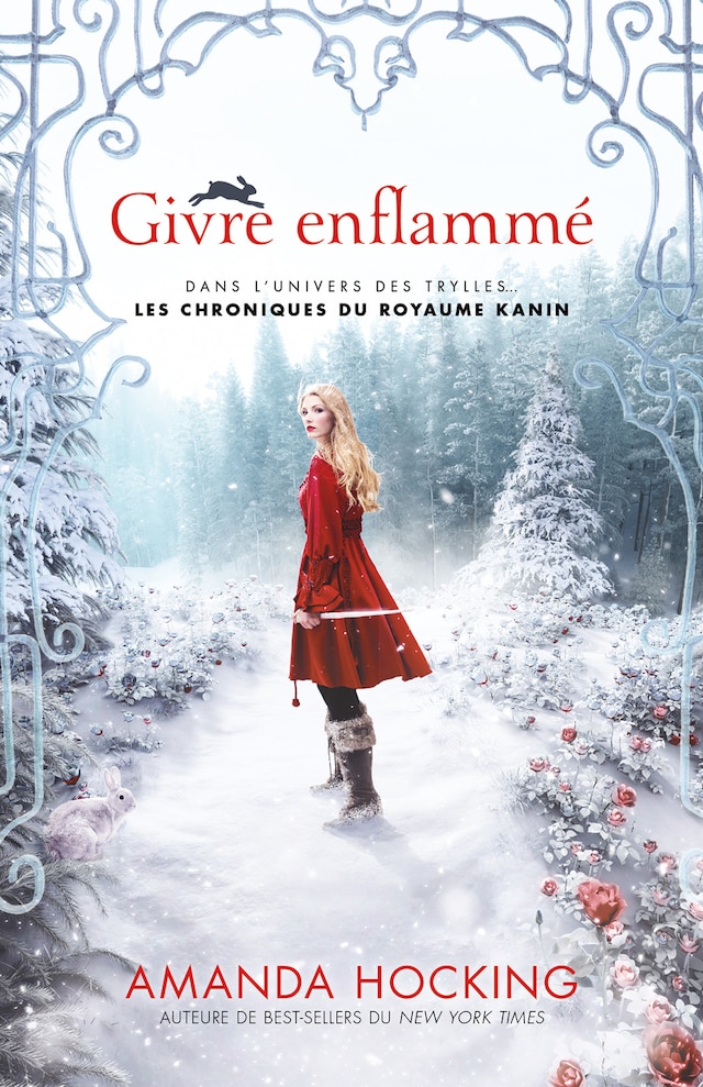 Book cover for Givre enflammé