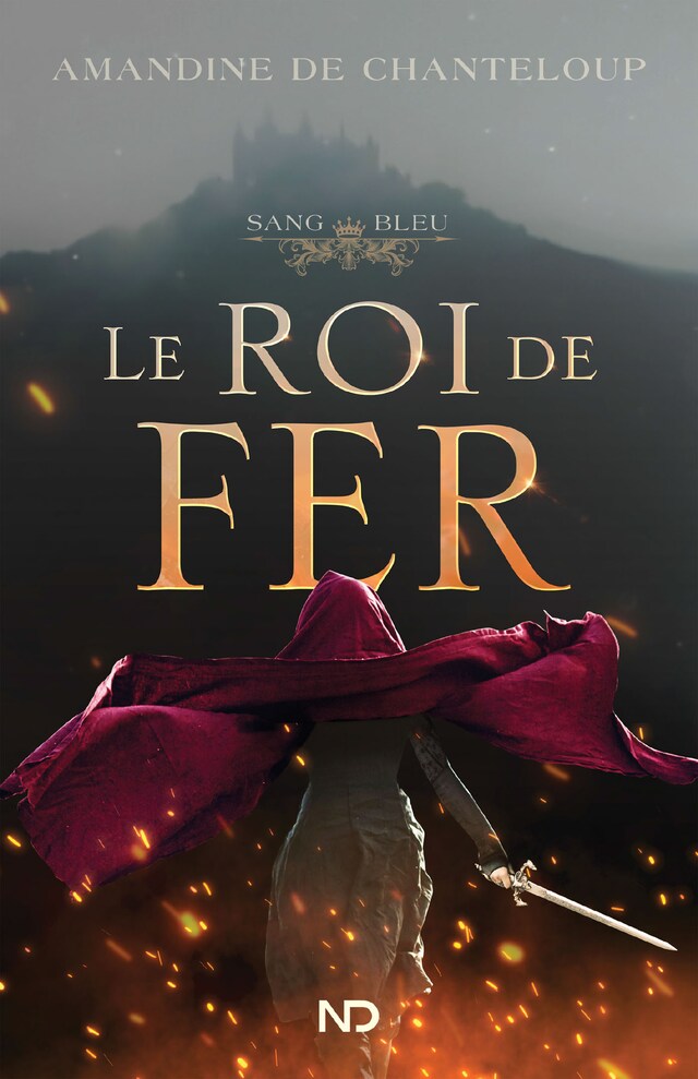 Book cover for Le roi de fer