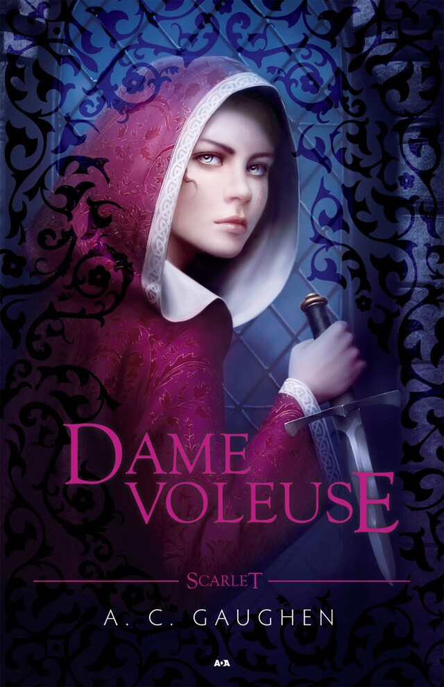 Book cover for Dame voleuse