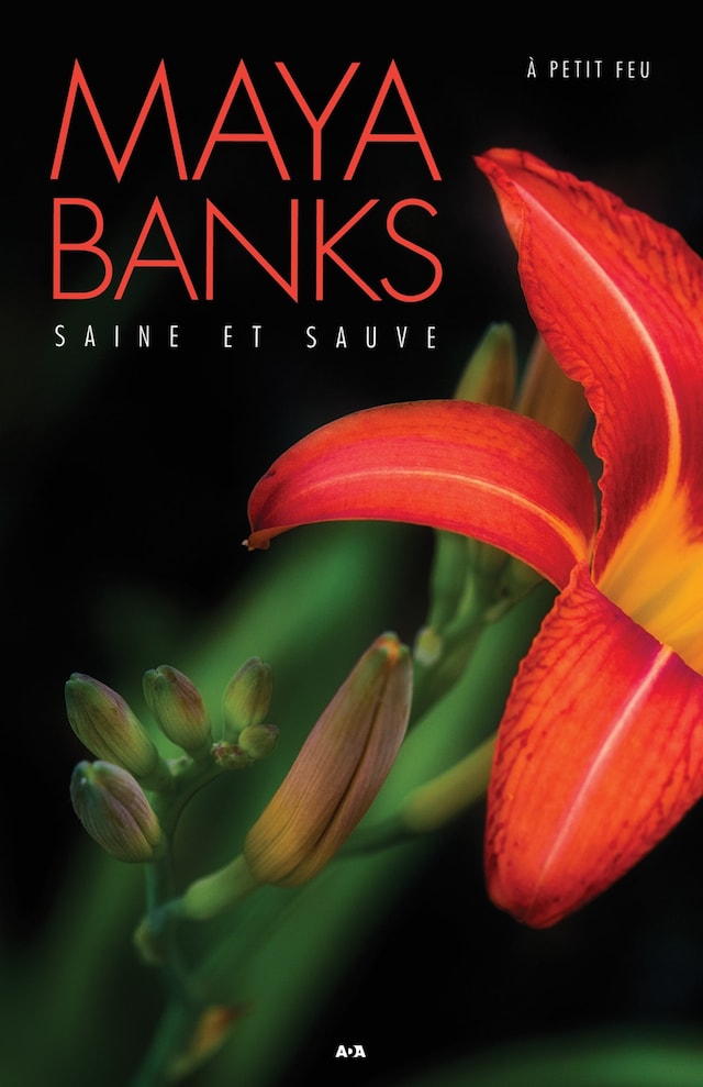Book cover for Saine et sauve