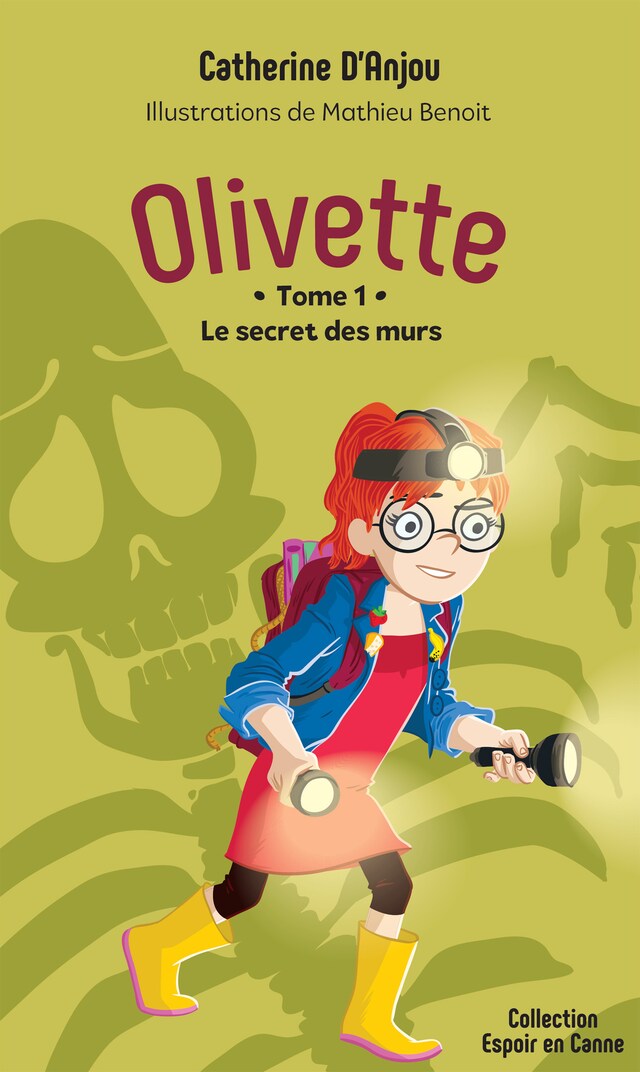 Book cover for Le secret des murs