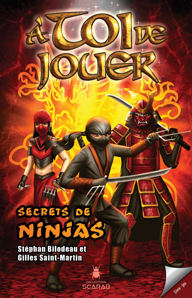 Boekomslag van Secrets de ninjas