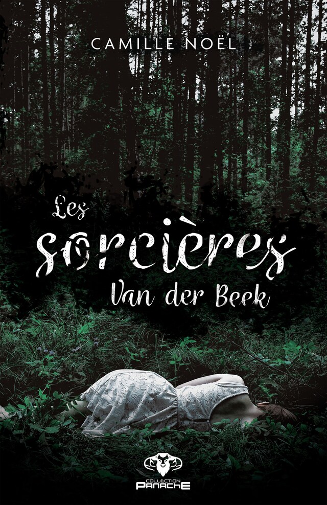 Book cover for Les sorcières Van der Beek