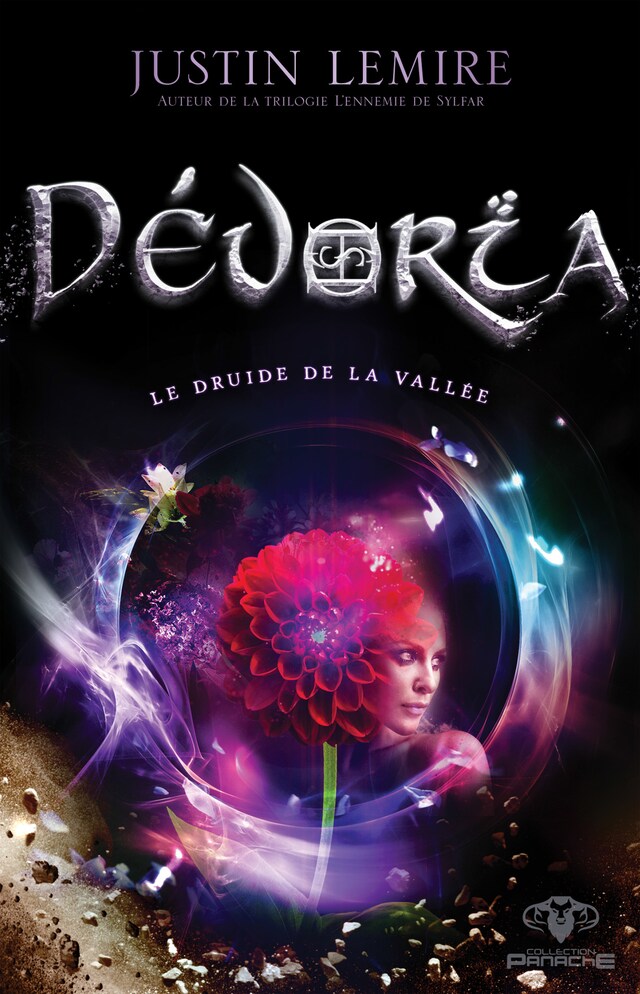 Couverture de livre pour Le druide de la vallée