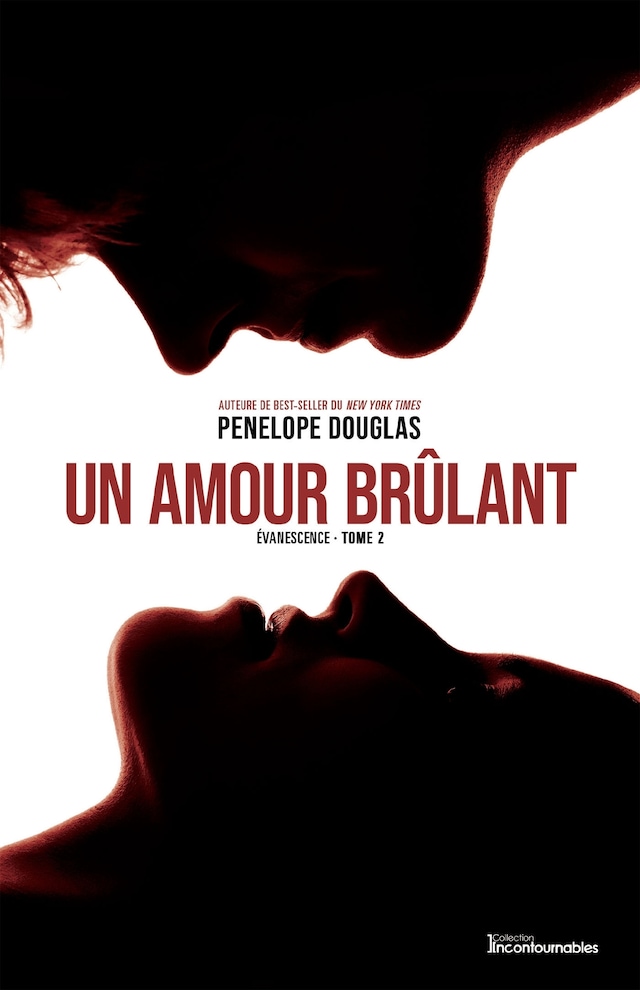 Book cover for Évanescence, tome 2 - Un amour brûlant