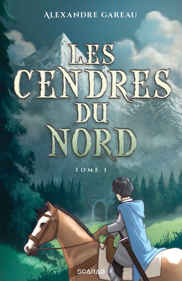 Book cover for Les cendres du Nord