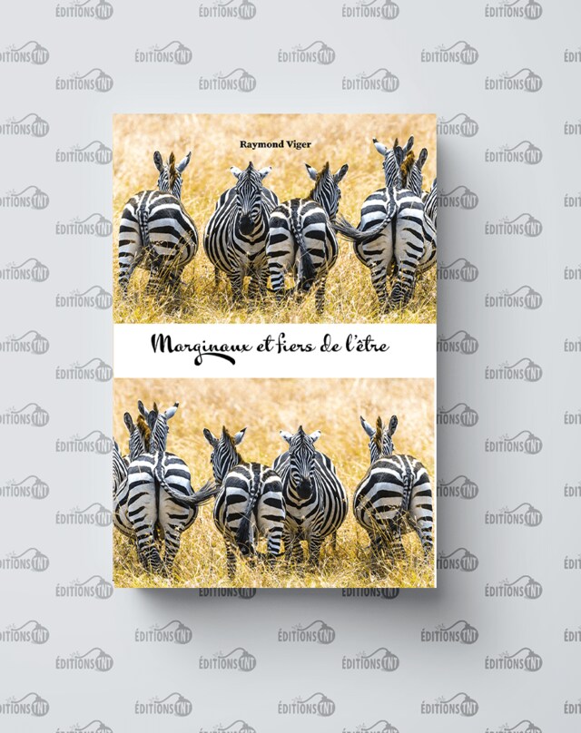 Book cover for Marginaux et fiers de l’être