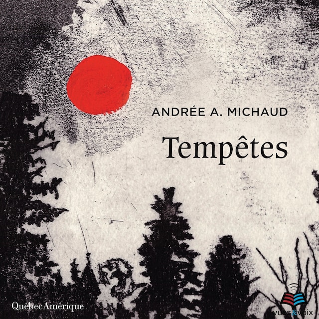 Book cover for Tempêtes