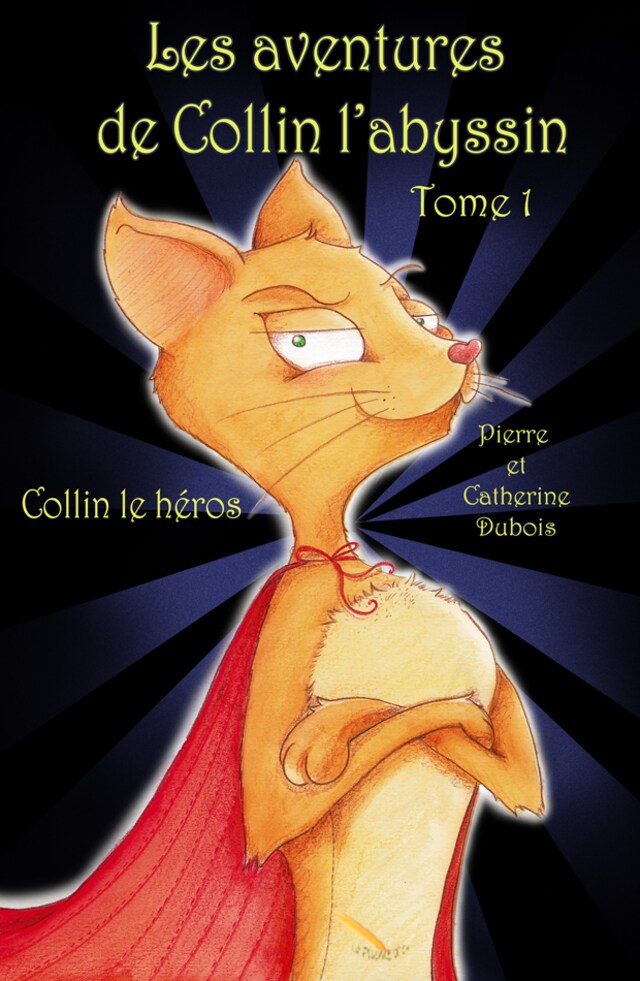 Copertina del libro per LES AVENTURES DE COLLIN L’ABYSSIN   Collin le héros