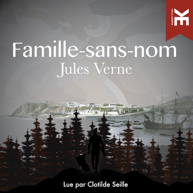 Book cover for Famille sans nom
