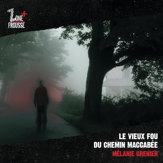 Book cover for Le vieux fou du chemin Maccabée