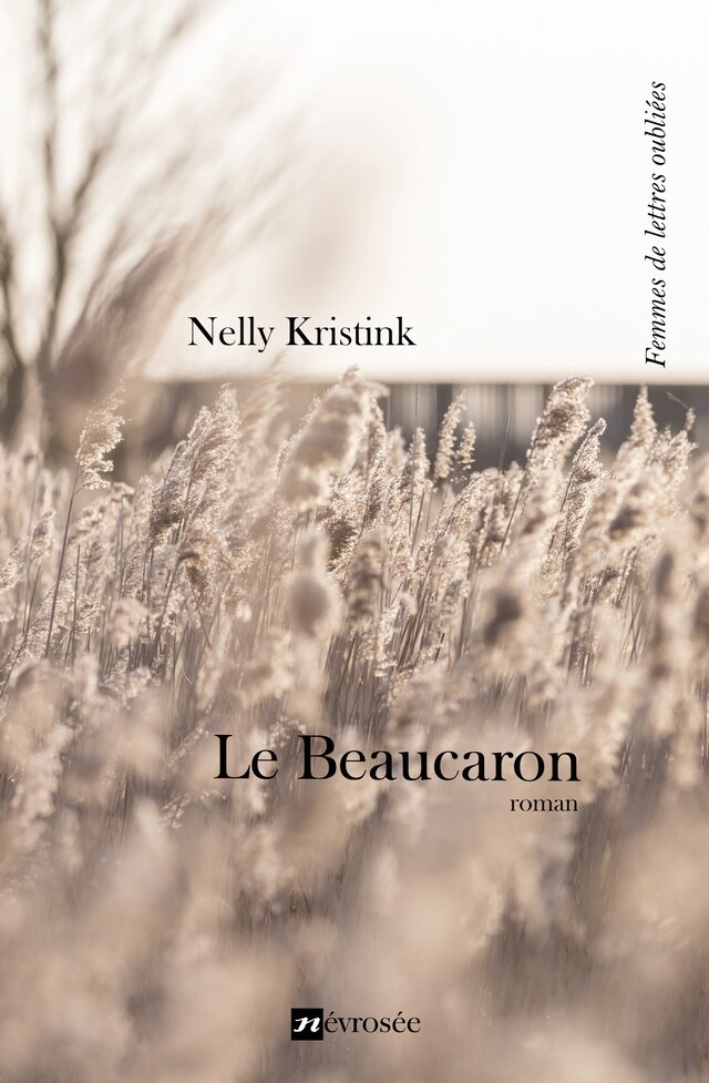 Book cover for Le Beaucaron