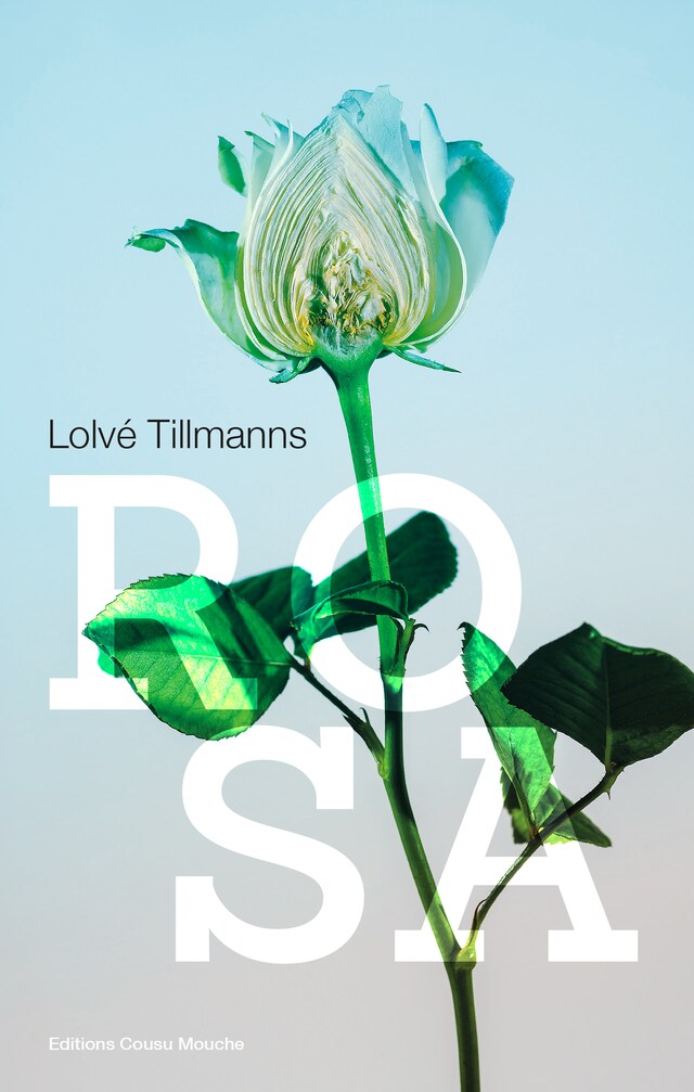 Book cover for Rosa