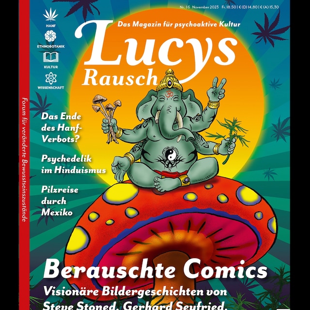 Book cover for Lucys Rausch Nr. 16