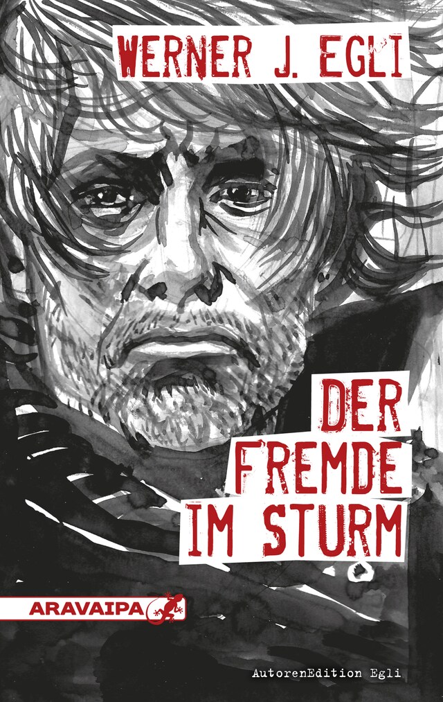 Couverture de livre pour Der Fremde im Sturm