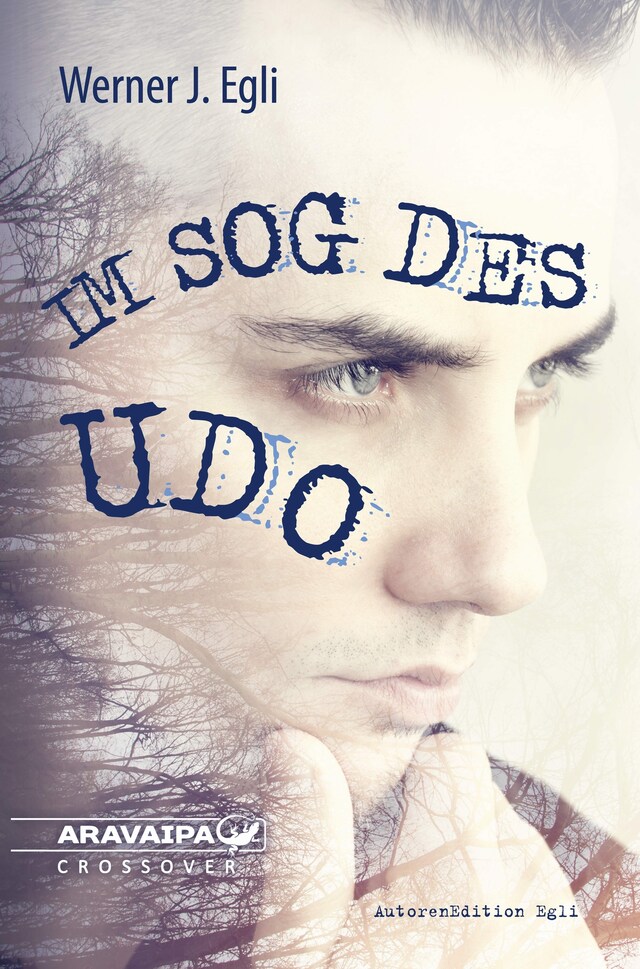 Book cover for Im Sog des Udo