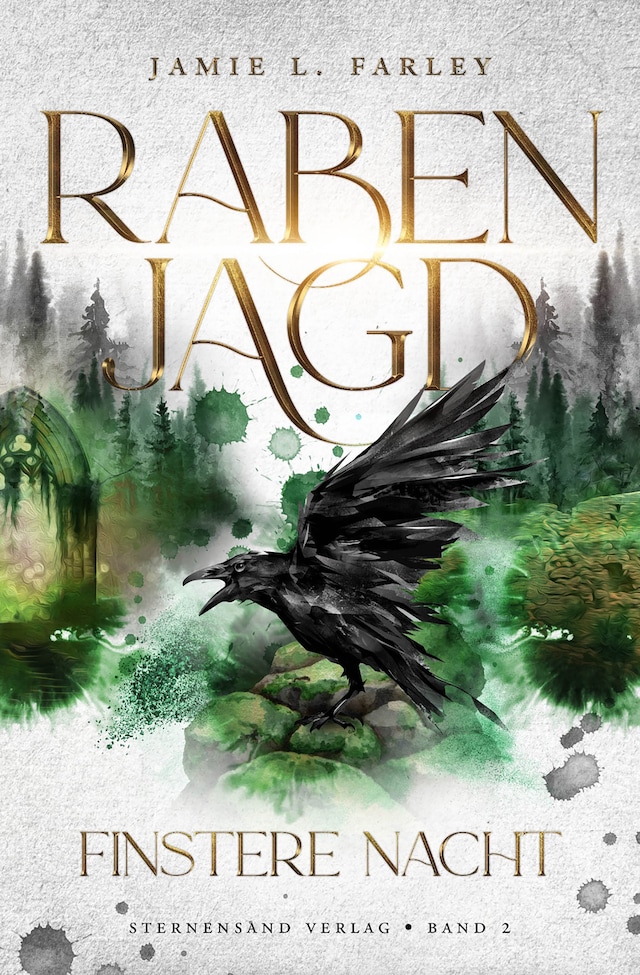 Book cover for Rabenjagd (Band 2): Finstere Nacht